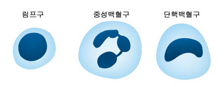 의약품 이미지